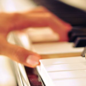 布兰迪和Brandon的官方网站
