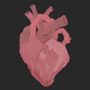 布兰迪和Brandon的官方网站
